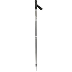 Level CARVER Ski Poles