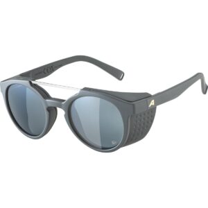 Очки солнцезащитные ALPINA Glace P
